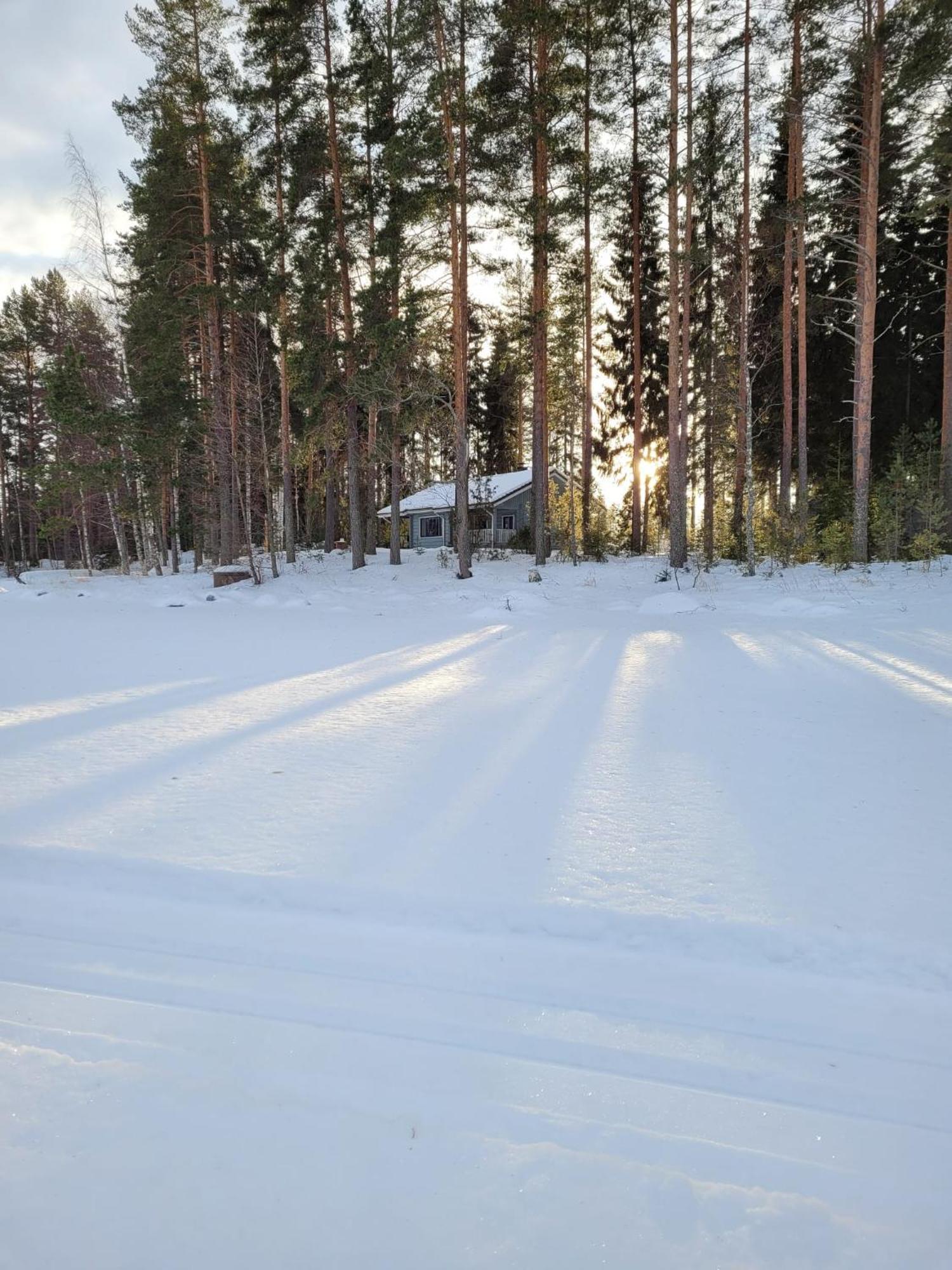 Vaelituvan Lomamoekit Punkaharju